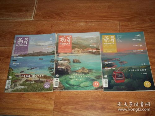 中国十大文学刊物