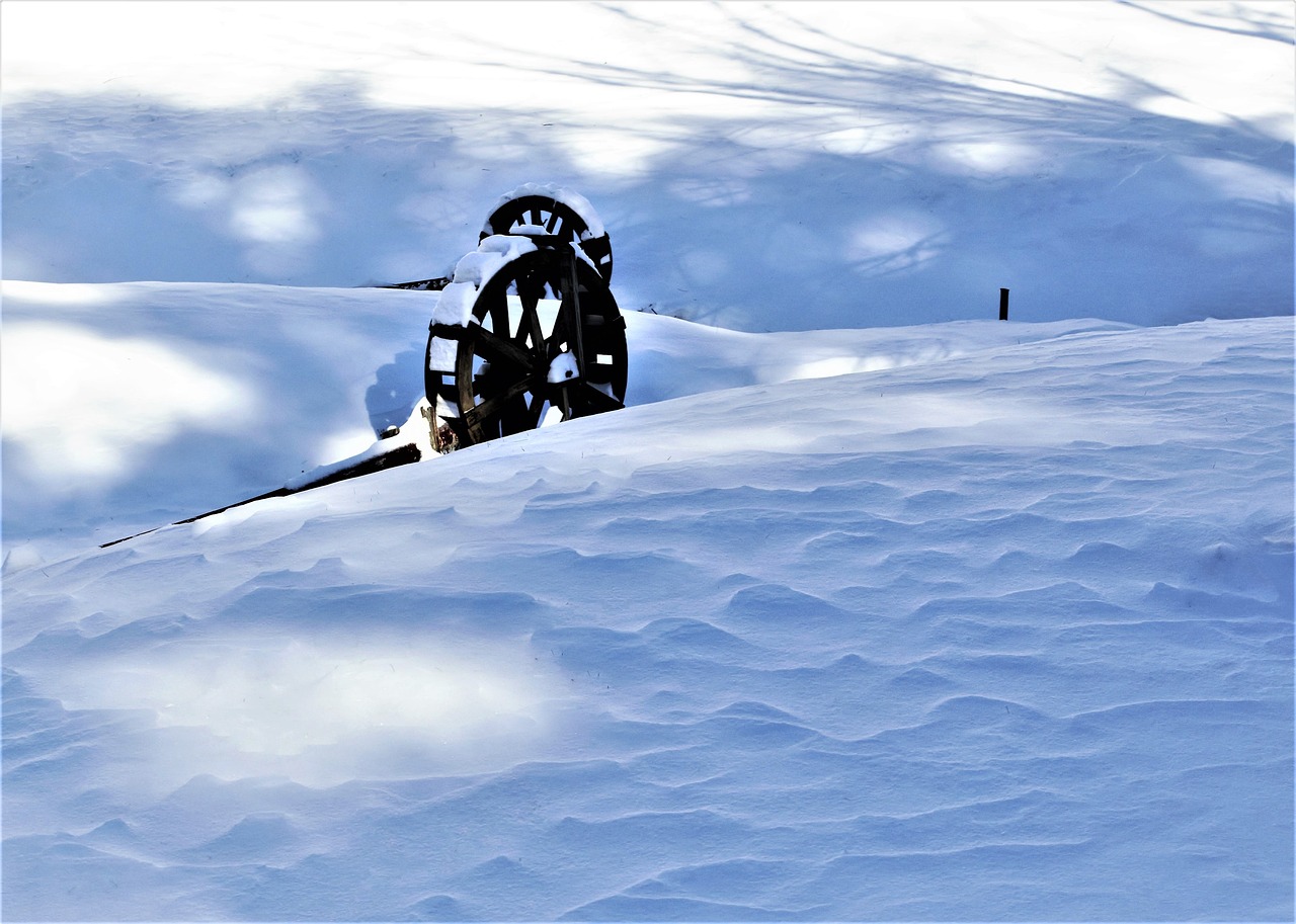 新疆八月下暴雪，罕见天气现象下的独特体验