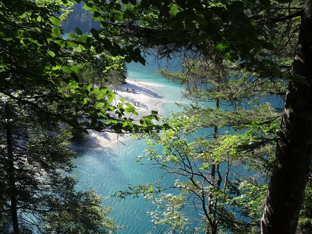 上海海湾国家森林公园深度游记，自然之韵，心灵归处