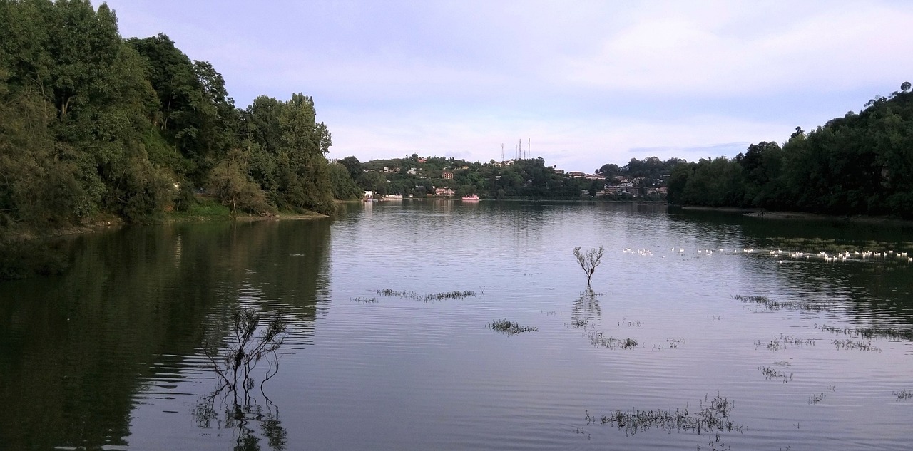 杭州西湖，一湖映千年，诗画中的梦里水乡