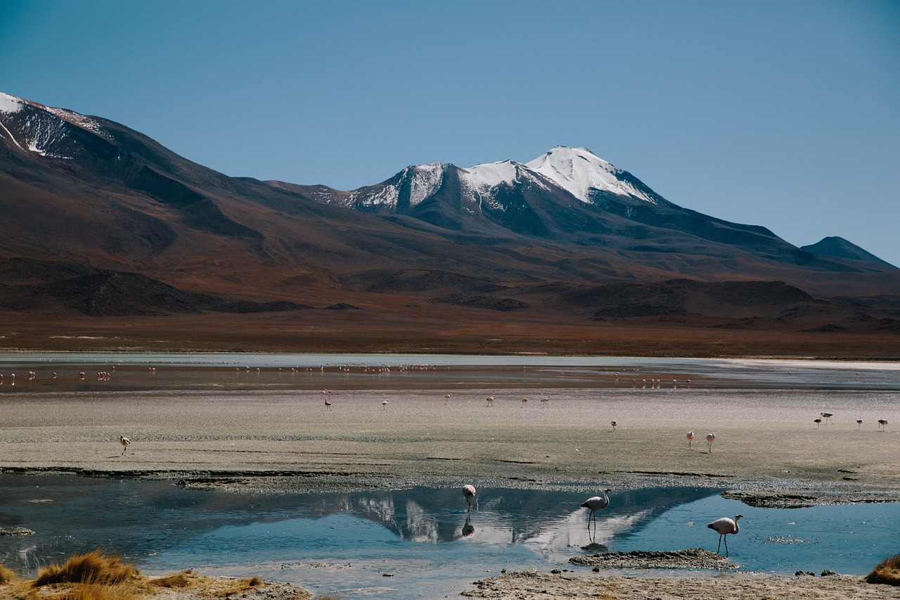 探索全球绝美秘境，年度必游十大旅行地排行榜