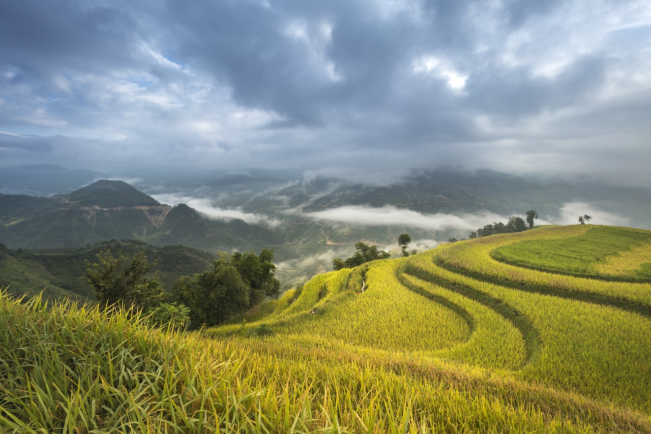 探秘浙江小九寨——遂昌之旅，生态之旅的不二之选