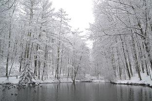 山东多地迎来今冬首场雪，美丽与防寒并重